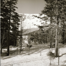 Karkonosze : Domek Myśliwski (fot. 3) [Dokument ikonograficzny]