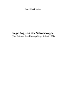 Errichtung einer neuen schlesischen Fluglinie? [Dokument elektroniczny]