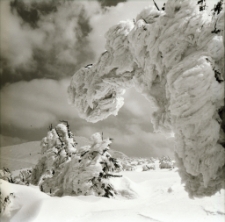 [Śnieżka zimą] (fot. 18) [Dokument ikonograficzny]