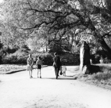 Jelenia Góra - Cieplice : głaz pamiątkowy [Dokument ikonograficzny]