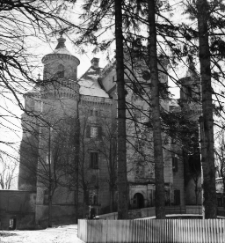 Pałac w Wojanowie (fot.2) [Dokument ikonograficzny]