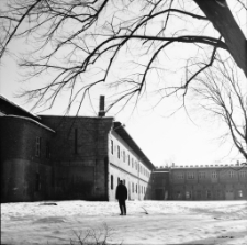 Pałac Wojanów-Bobrów (fot.8) [Dokument ikonograficzny]