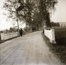 Jelenia Góra (Cieplice) : ulica Dolnośląska (fot.1) [Dokument ikonograficzny]