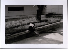 Bangkok - Dark Water [Dokument ikonograficzny]