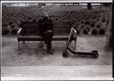 Wrocław. Bulwar Dunikowskiego [Dokument ikonograficzny]