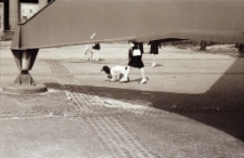 Wrocław : iglica (fot. 2) [Dokument ikonograficzny]