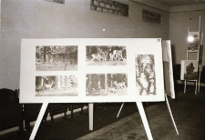 Przyroda w fotografii (fot. 3) [Dokument ikonograficzny]