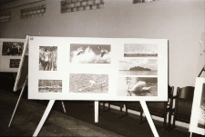 Przyroda w fotografii (fot. 4) [Dokument ikonograficzny]