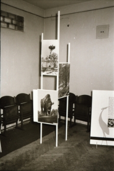 Przyroda w fotografii (fot. 5) [Dokument ikonograficzny]