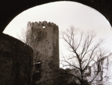 [Zamek Bolków] (fot. 2) [Dokument ikonograficzny]