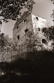 [Zamek Gryf] (fot. 1) [Dokument ikonograficzny]