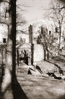 [Zamek Bolcz&oacute;w] (fot. 7) [Dokument ikonograficzny]