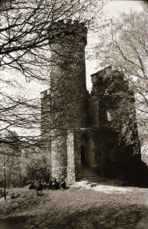 [Zamek Księcia Henryka] (fot. 1) [Dokument ikonograficzny]