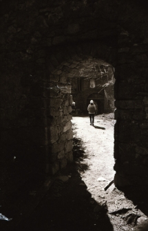 [Zamek Bolcz&oacute;w] (fot. 8) [Dokument ikonograficzny]