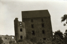 [Zamek Świny] (fot. 1) [Dokument ikonograficzny]