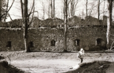 [Zamek Bolczów] (fot. 11) [Dokument ikonograficzny]