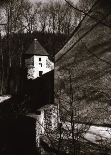 [Zamek w Świeciu] (fot. 1) [Dokument ikonograficzny]