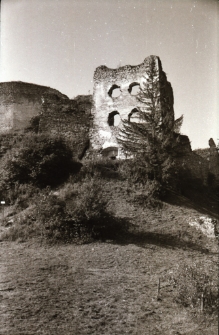 [Zamek w Czorsztynie] (fot. 1) [Dokument ikonograficzny]