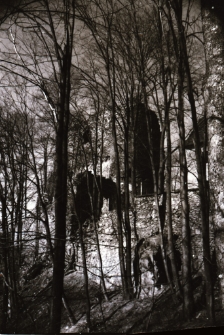 [Zamek w Świeciu] (fot. 3) [Dokument ikonograficzny]