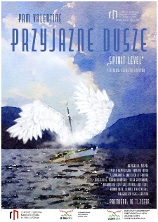 Przyjazne dusze - Spirit level - plakat [Dokument życia społecznego]