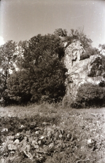 [Zamek Podskale] (fot. 1) [Dokument ikonograficzny]