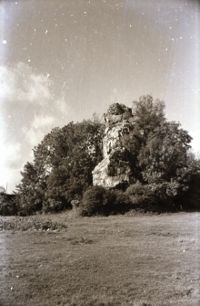 [Zamek Podskale] (fot. 2) [Dokument ikonograficzny]