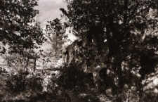 [Zamek w Świeciu] (fot. 4) [Dokument ikonograficzny]