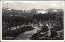 Karkonosze - widok z leśnego szlaku na Śnieżne Kotły ze schroniskiem [Dokument ikonograficzny]