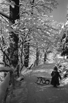 [Szklarska Poręba : Przed domem] [Dokument ikonograficzny]