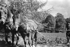 [Prace rolne : Szklarska Poręba] (fot. 1) [Dokument ikonograficzny]