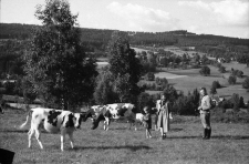 [Szklarska Poręba : Widok z łąk][Dokument ikonograficzny]