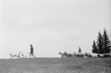 [Wypasanie owiec] (fot. 2) [Dokument ikonograficzny]