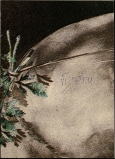 Szósty Międzynarodowy Festiwal Teatru Ulicznego [Dokument życia społecznego]