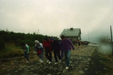 Widok ze szlaku na górną stację wyciągu [Dokument ikonograficzny]