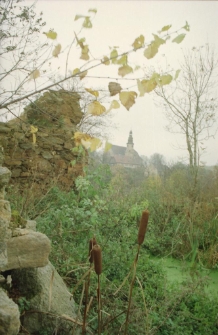 Kości&oacute;ł św. Marii Magdaleny w Zatoniu (fot. 2) [Dokument ikonograficzny]