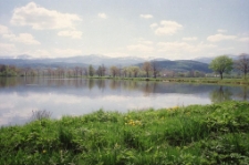 Stawy Podgórzyńskie [Dokument ikonograficzny]