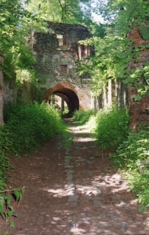 Zamek Gryf [Dokument ikonograficzny]