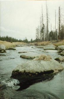 Góry Izerskie (fot.10) [Dokument ikonograficzny]