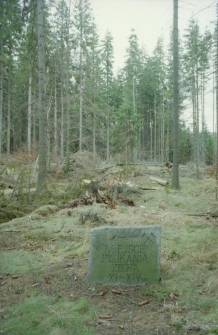 Płuczki złota w Górach Izerskich (fot. 2) [Dokument ikonograficzny]