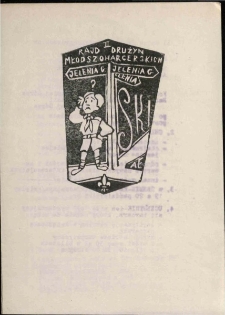 II Rajd Drużyn Młodszoharcerskich [Dokument życia społecznego]