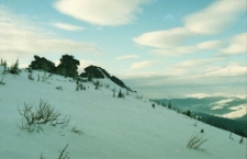 Końskie Łby (fot. 4) [Dokument ikonograficzny]