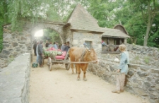 Zamek Czocha (fot. 9) [Dokument ikonograficzny]