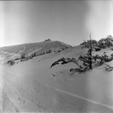 Karkonosze - Śnieżka zimą (fot. 12) [Dokument ikonograficzny]
