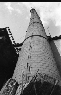 Zlikwidowana wieś Wigancice Żytawskie (fot. 2) [Dokument ikonograficzny]