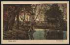 Ohlau – Im Stadtpark [Dokument ikonograficzny]