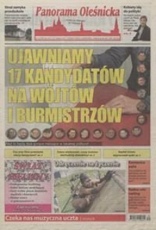 Panorama Oleśnicka, 2018, nr 34