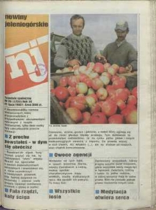 Nowiny Jeleniog&oacute;rskie : tygodnik społeczny, [R. 36], 1993, nr 29 (1733!)