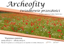 Archeofity - świadkowie przeszłości - plakat [Dokument życia społecznego]