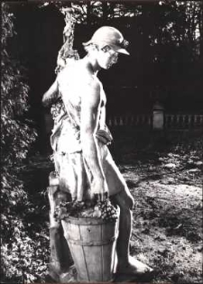 Ogrodnik [Dokument ikonograficzny]