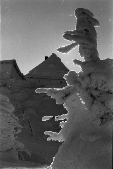 Szrenica zimą [Dokument ikonograficzny]